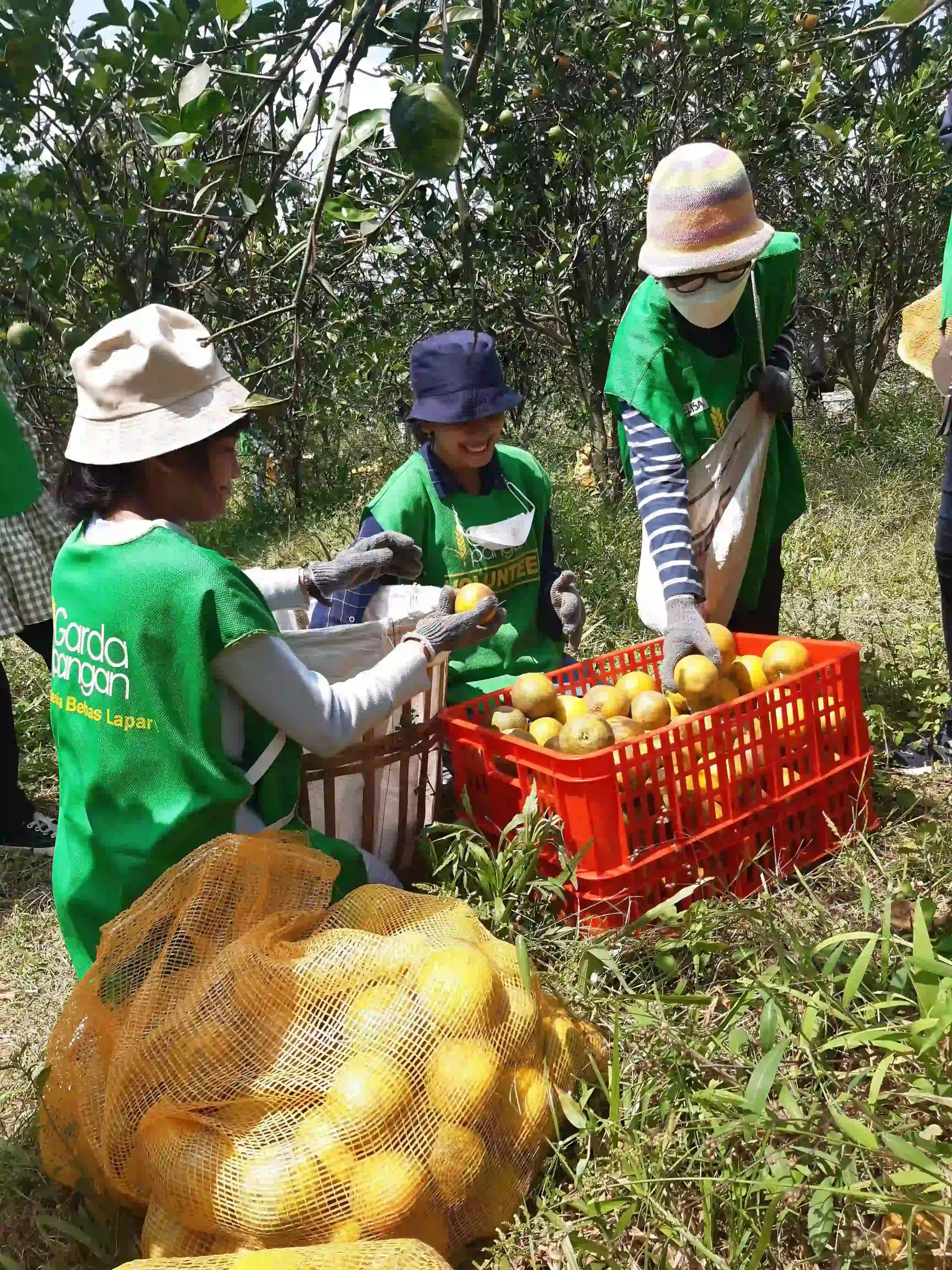 Kumpulan Kegiatan Relawan Garda Pangan